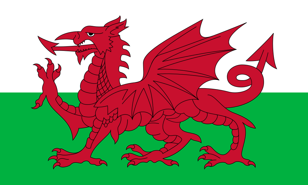 Ffon Host: Your Hosting Solution Now Available in Welsh!