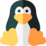 linux